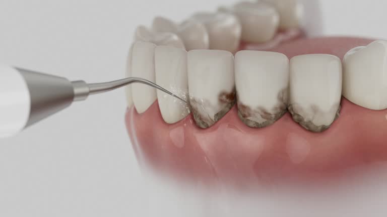 Reliable Dental contractor in Concord, MO by Dentist Open Now